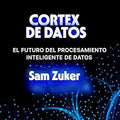 CORTEZA DE DATOS book cover